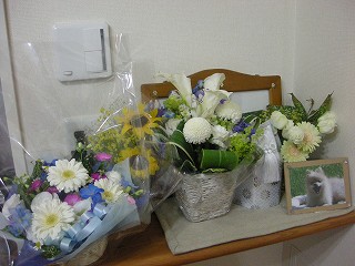 DSCN4849.jpg