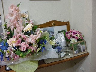 DSCN4864.jpg