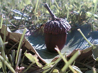PA0_0067.jpg