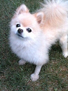 PA0_0088.jpg