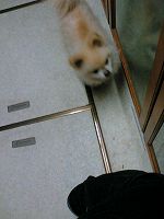 PAP_0002.jpg