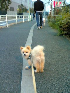 PAP_0004.jpg