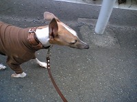 PAP_0052.jpg