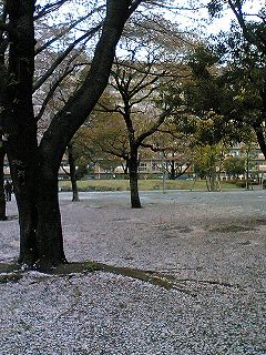TS310891.jpg