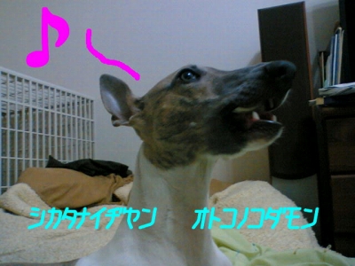 otoko.jpg