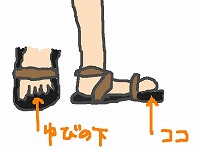 reg.jpg