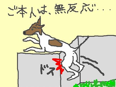 yukio070911.jpg