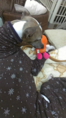 yukio201303.jpg