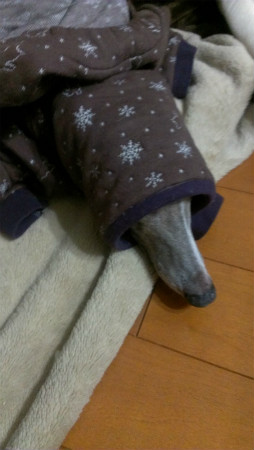 yukio201305.jpg