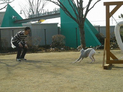 yukio&uniban0301.gif
